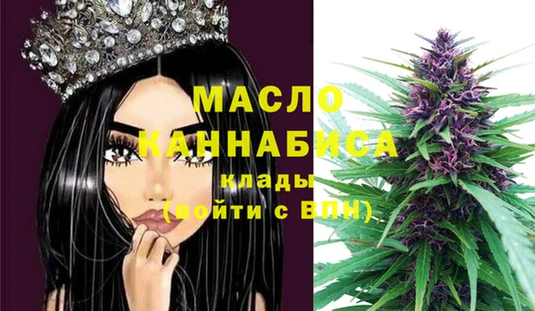 молекула духа Надым