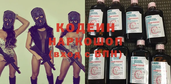 молекула духа Надым