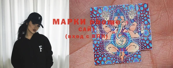 молекула духа Надым