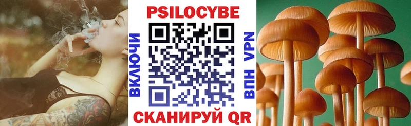 Псилоцибиновые грибы Cubensis где можно купить наркотик Лысково
